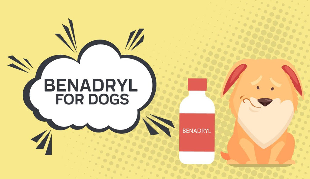 carprofen and benadryl for dogs