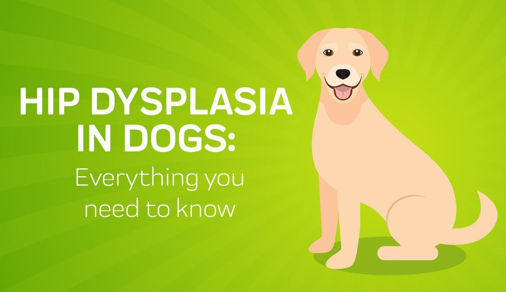 hip dysplasia dog breeds