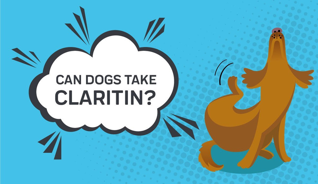 claritin for dogs