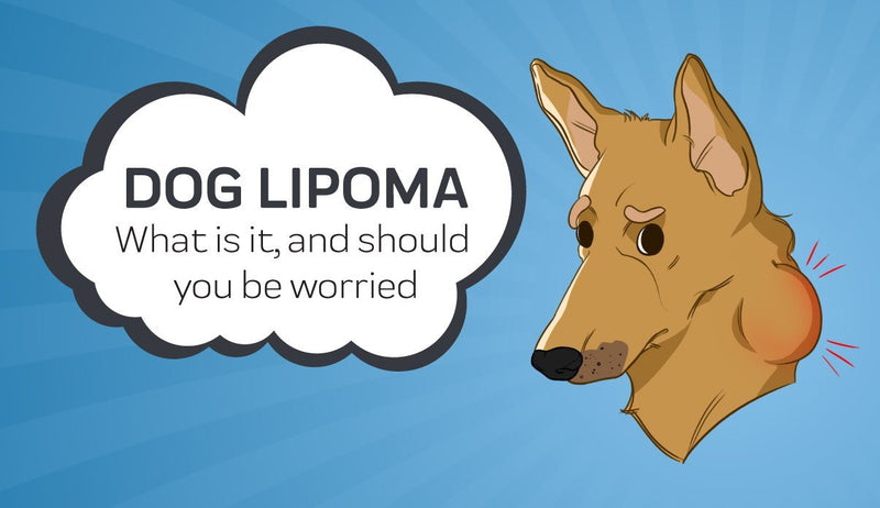 do dog lipomas grow fast