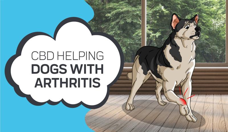 what can cause temporary paralysis in dogs