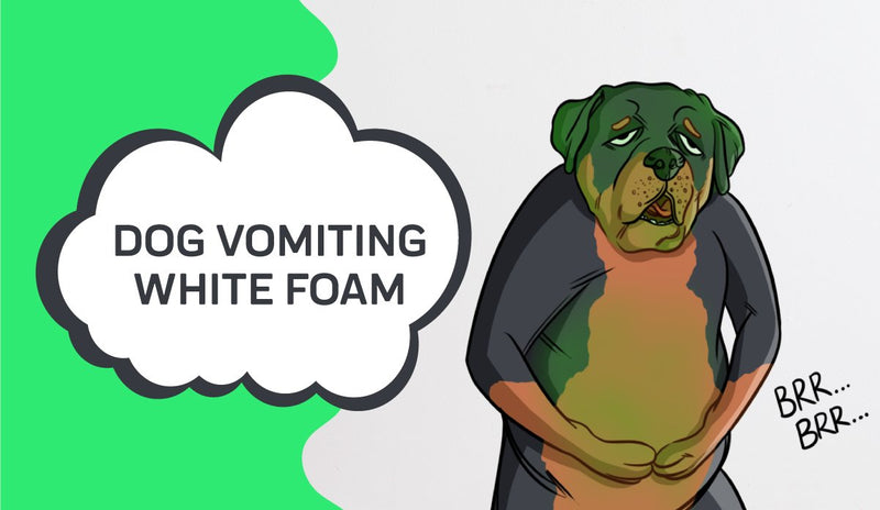 my puppy is vomiting foam