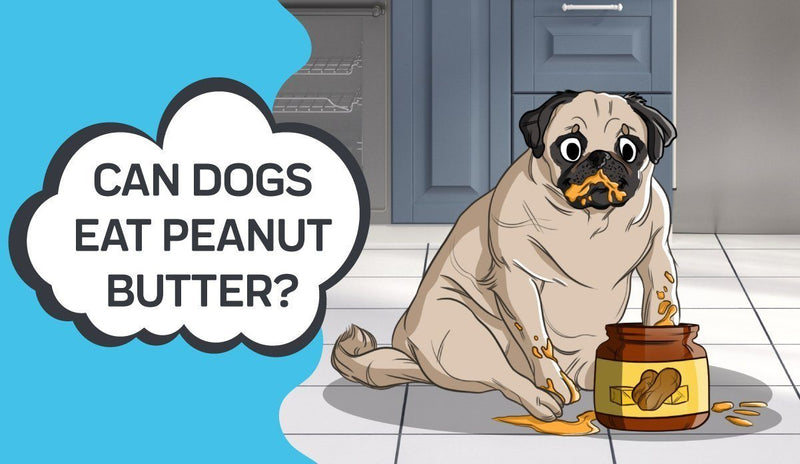 can a dog eat a peanut