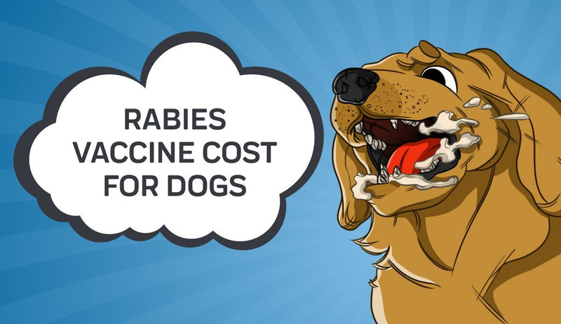 how much is a dog vaccination