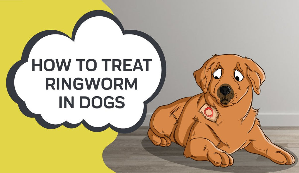 home remedies for ringworm in dogs