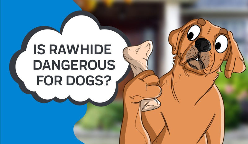 can rawhide cause bloody diarrhea in dogs