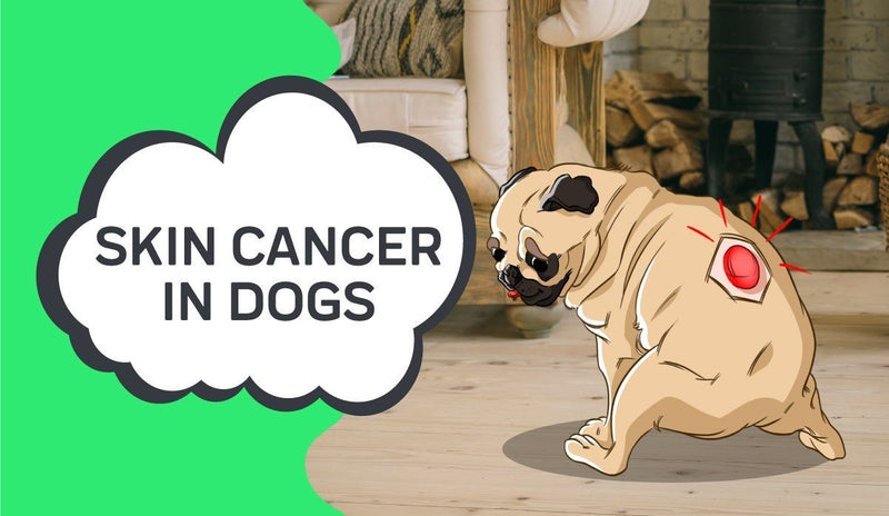 do ear tumors in dogs hurt
