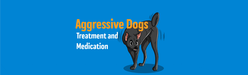 does prozac work for dog aggression