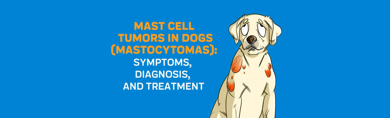 do mast cell tumors kill dogs