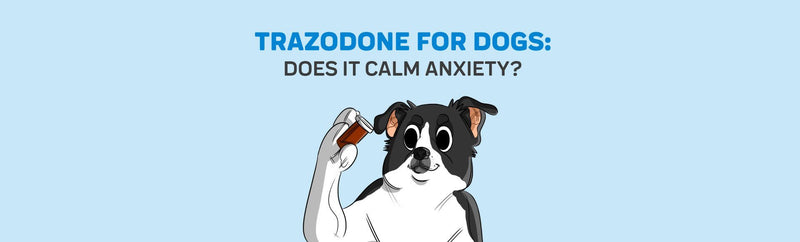 is trazodone for humans the same as for dogs