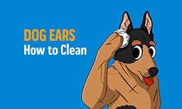 How to Clean Dog Ears