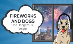 Fireworks And Dogs: One Dangerous Recipe