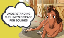 cushings disease for equines