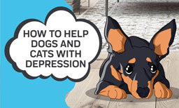 How to Help Dogs and Cats with Depression