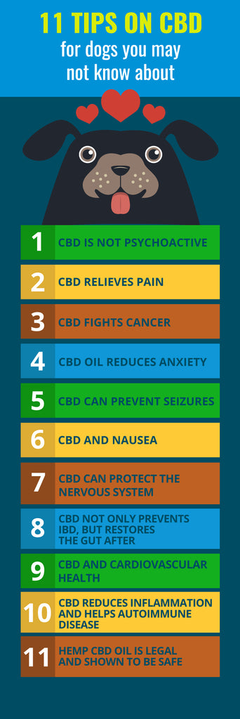 11 tips for cbd oil for dogs