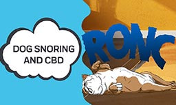 how to stop dog snoring and how cbd can help