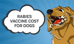 Rabies and How Much does the Rabies Vaccine Cost for Dogs