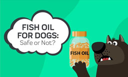 Fish Oil for Dogs: Safe or Not?