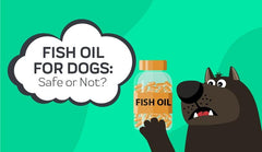 Fish Oil for Dogs: Safe or Not?