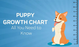 puppy growth chart