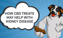 how cbd treats may help with kidney disease 