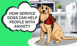 service dogs for people with anxiety