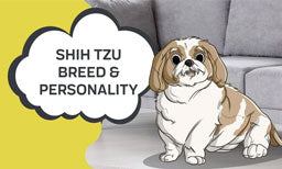 shih zhu breed and personality