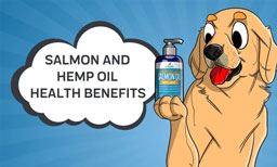 Salmon and Hemp Oil Health Benefits