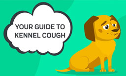 guide to kennel cough