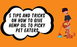 5 Tips And Tricks On How To Give Hemp Oil To Picky Pet Eaters