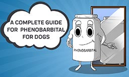 A Complete Guide To Phenobarbital For Dogs