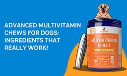 Advanced Multivitamin Chews For Dogs: Ingredients That Really Work!