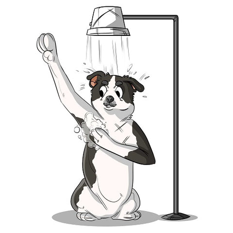 Regular Baths - Alternative Treatment Apoquel