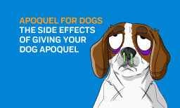 Apoquel for Dogs - The Side Effects Of Giving Your Dog Apoquel