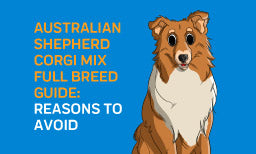 Australian Shepherd Corgi Mix Full Breed Guide: Reasons To Avoid