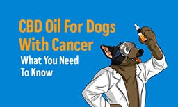 cbd oil for dogs with cancer