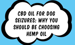 cbd for dog seizures and epilepsy