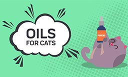 cbd oil for cats