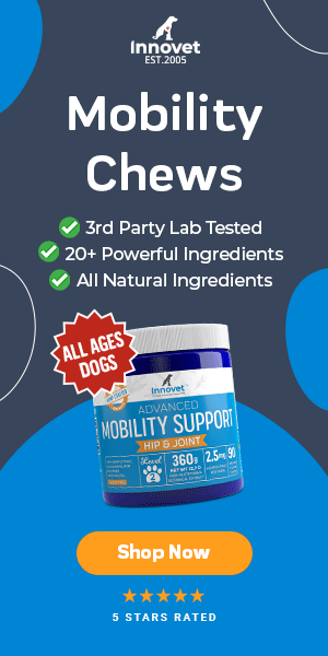 Mobility Chews for Dogs with Pain and Mobility Issues