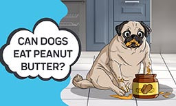 dog peanut butter