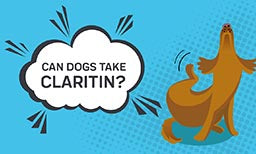 Can Dogs Take Claritin?