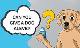 Can you Give a Dog Aleve?