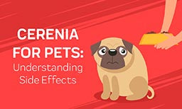 cerenia for pets