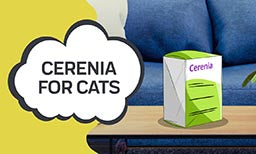Cerenia for Cats