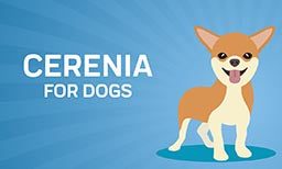 Cerenia for Dogs