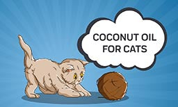 coconut oil for cats