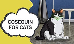 Cosequin for Cats