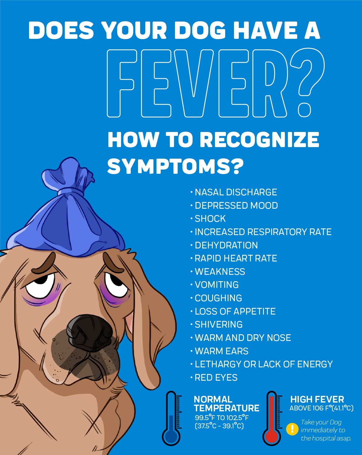 dog has fever and lethargic