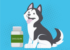 Dasuquin With Msm Chewable Tablets For Dogs S M Up To 60 Lbs 150 Ct Termiteprevention Joint Health Joint Health Supplement Dog Joint Health