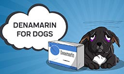 Denamarin for dogs